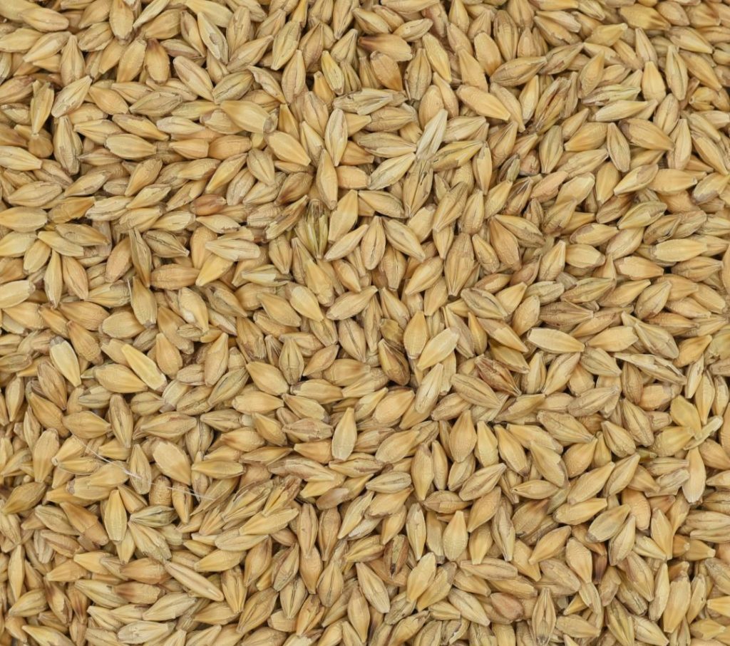 Barley Feed 30KG
