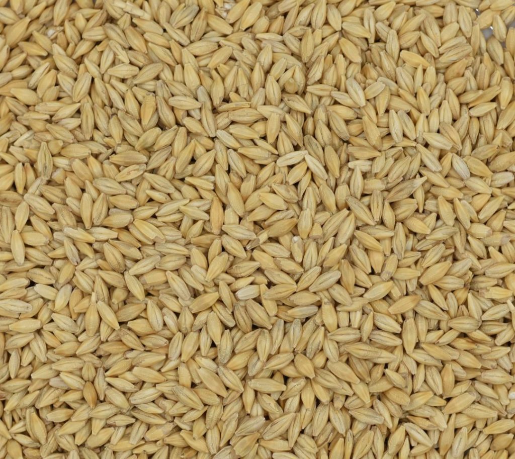 Premium Australian Barley Feed 30 KG